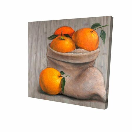 FONDO 16 x 16 in. Bag of Oranges-Print on Canvas FO2786780